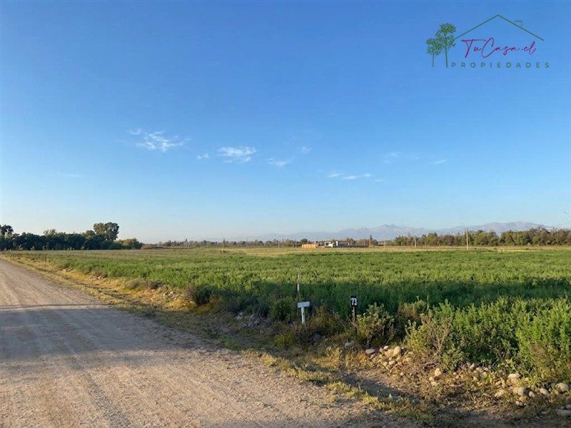 Parcela en venta en Talagante — foto 7