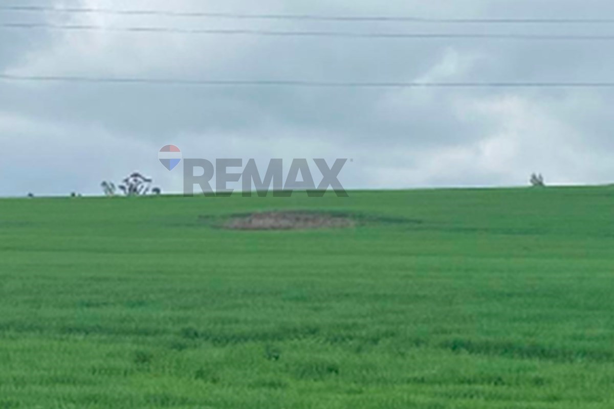 Terreno en venta en Perquenco — foto 2
