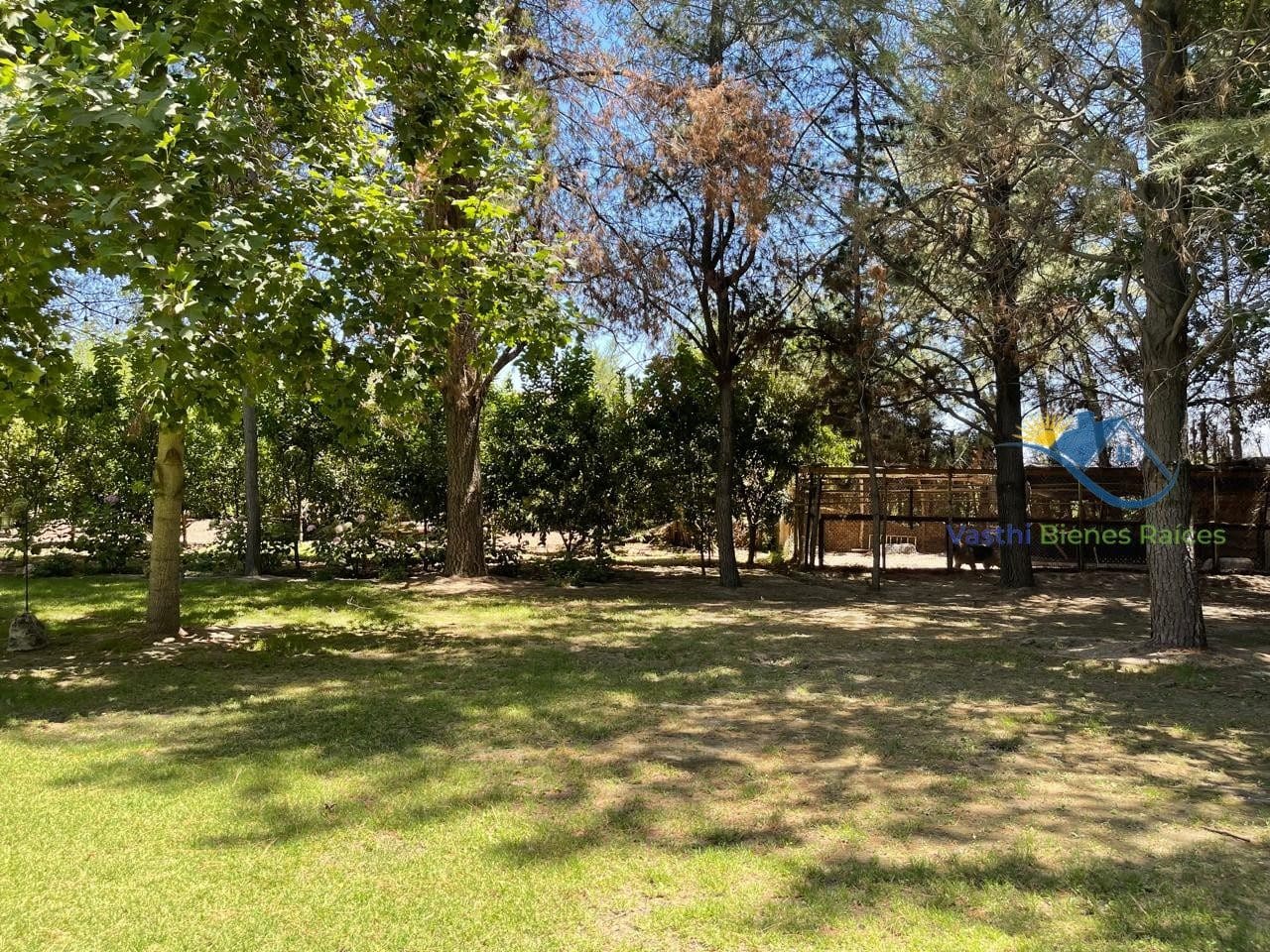 Parcela en venta en San Esteban — foto 6