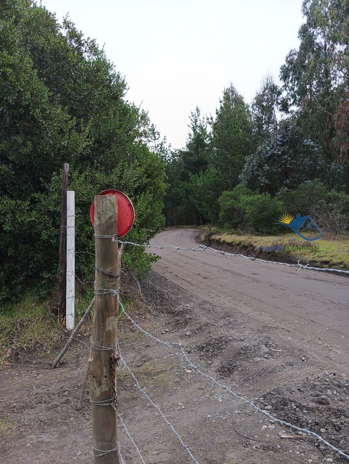 Parcela en venta en Ránquil — foto 3