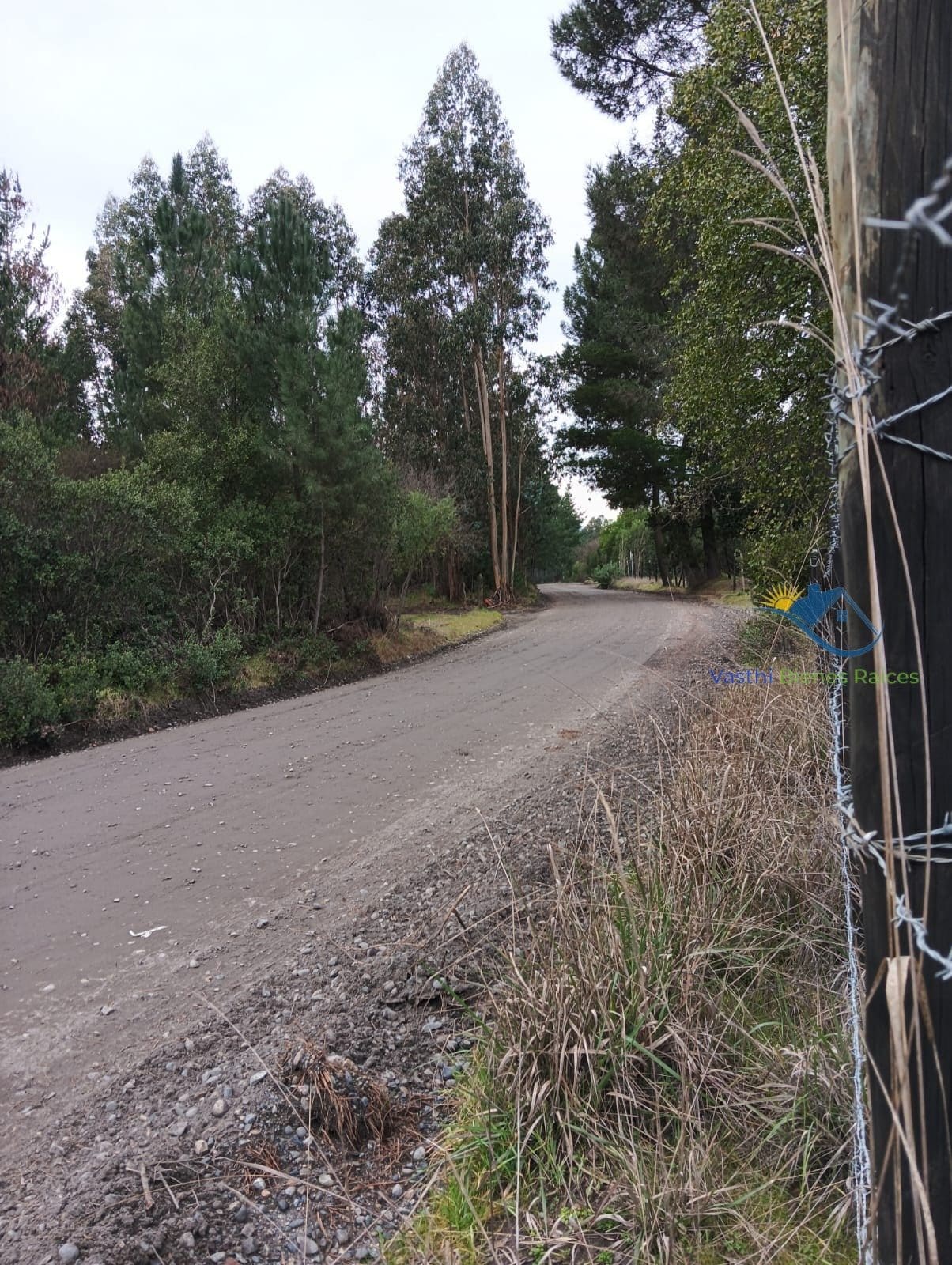 Parcela en venta en Ránquil — foto 4