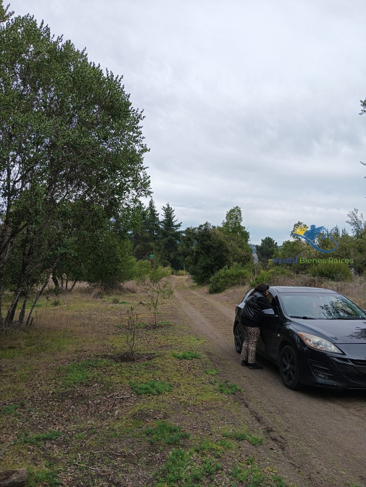 Parcela en venta en Ránquil — foto 5