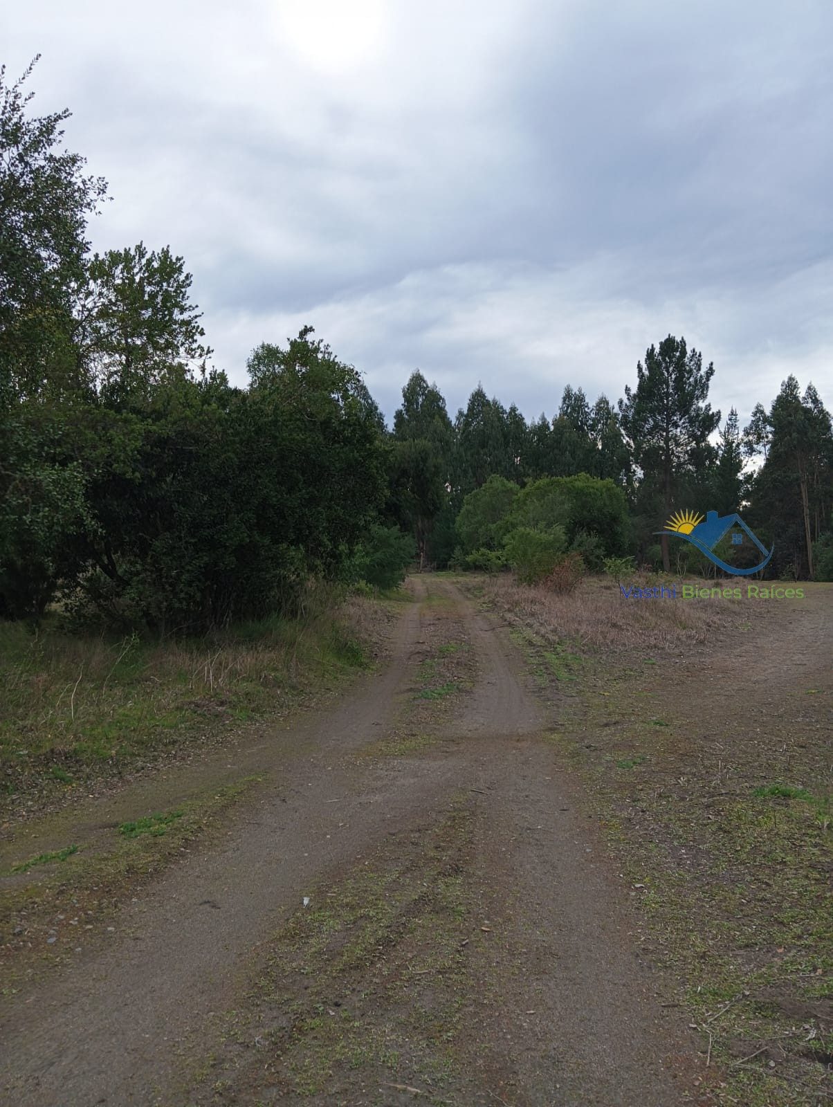 Parcela en venta en Ránquil — foto 6