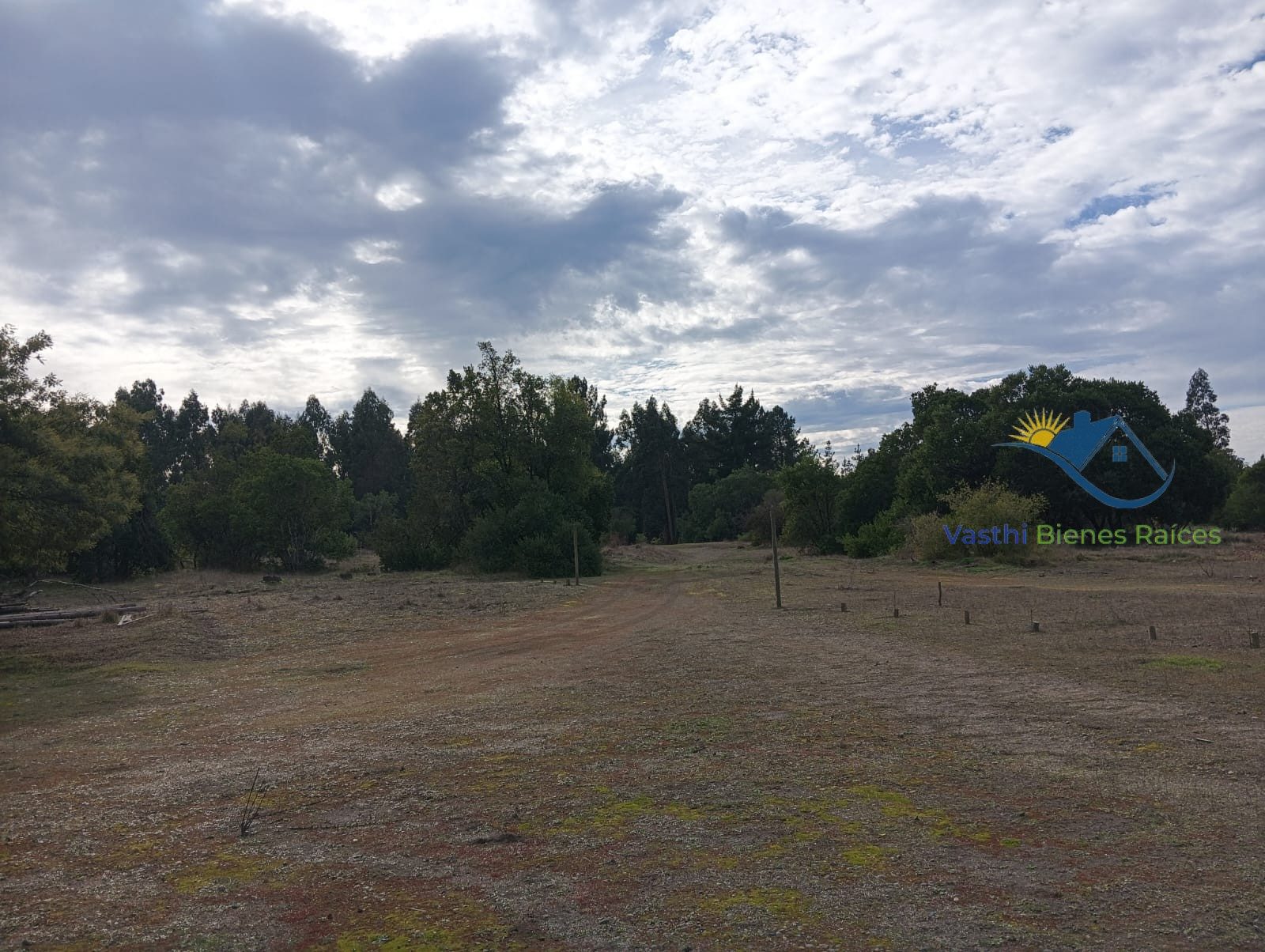 Parcela en venta en Ránquil — foto 10