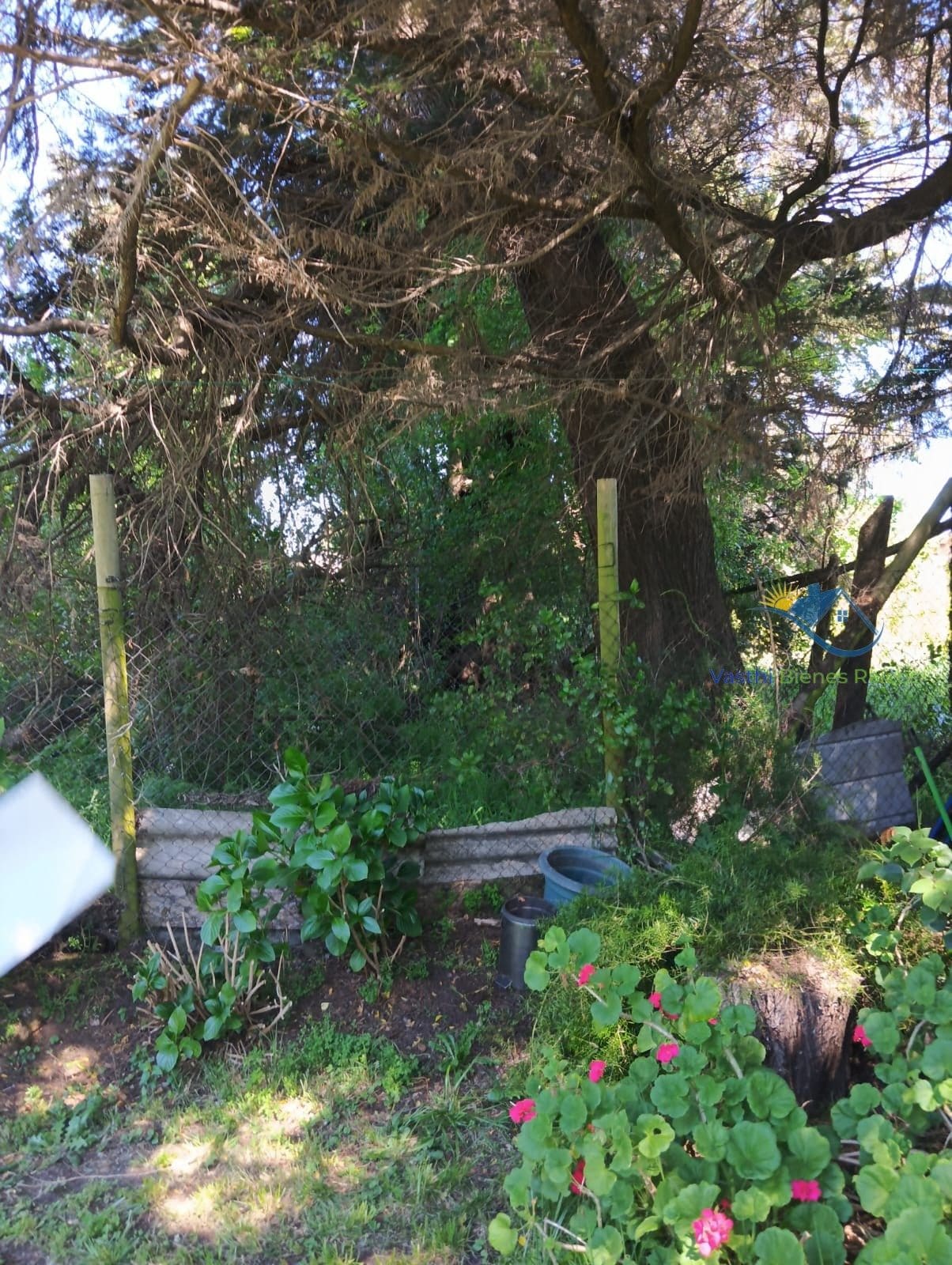 Terreno en venta en Chiguayante — foto 2