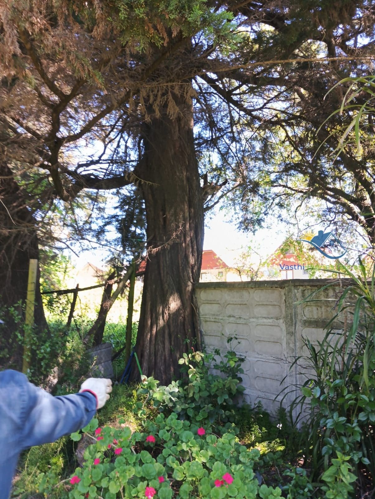 Terreno en venta en Chiguayante — foto 3