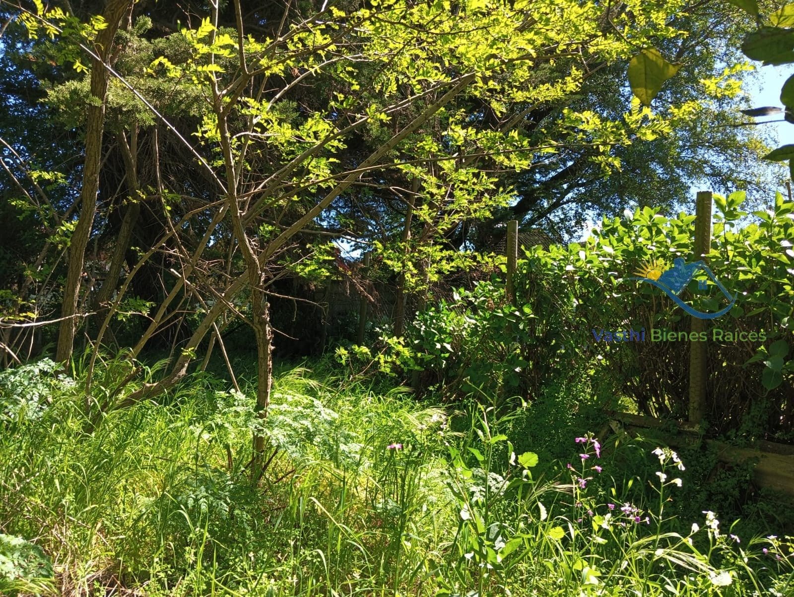 Terreno en venta en Chiguayante — foto 4