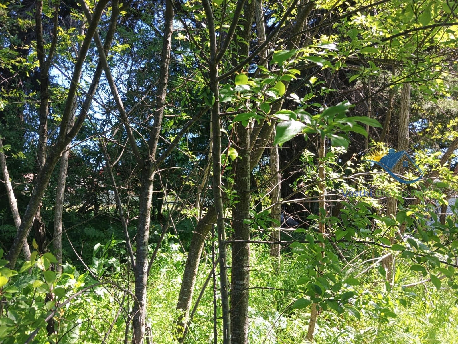 Terreno en venta en Chiguayante — foto 6