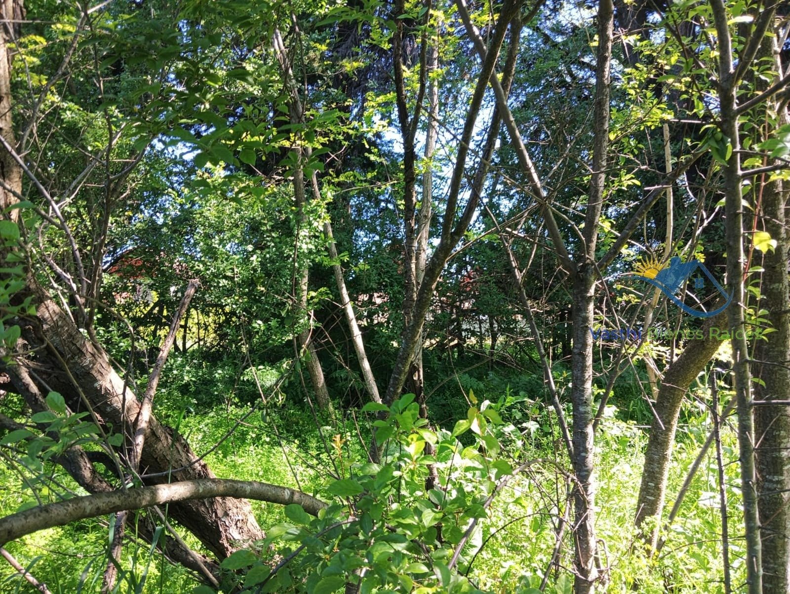 Terreno en venta en Chiguayante — foto 7