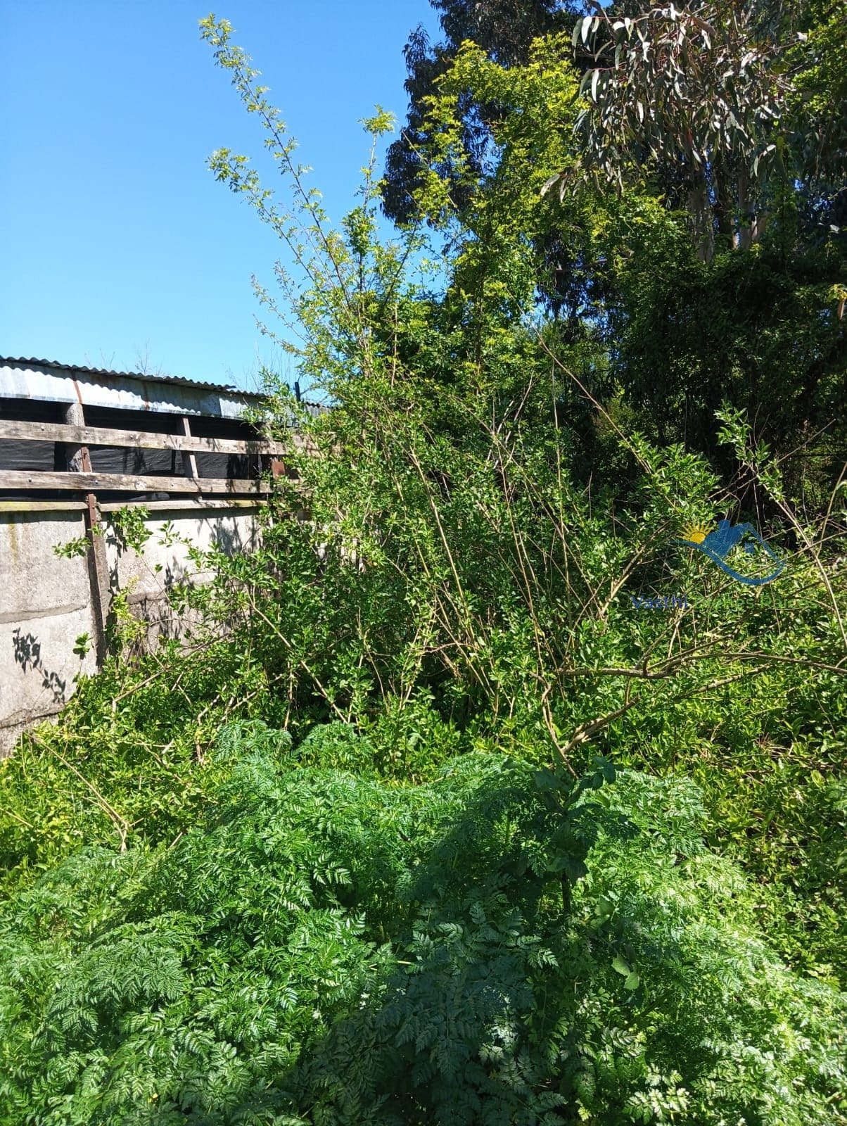 Terreno en venta en Chiguayante — foto 9
