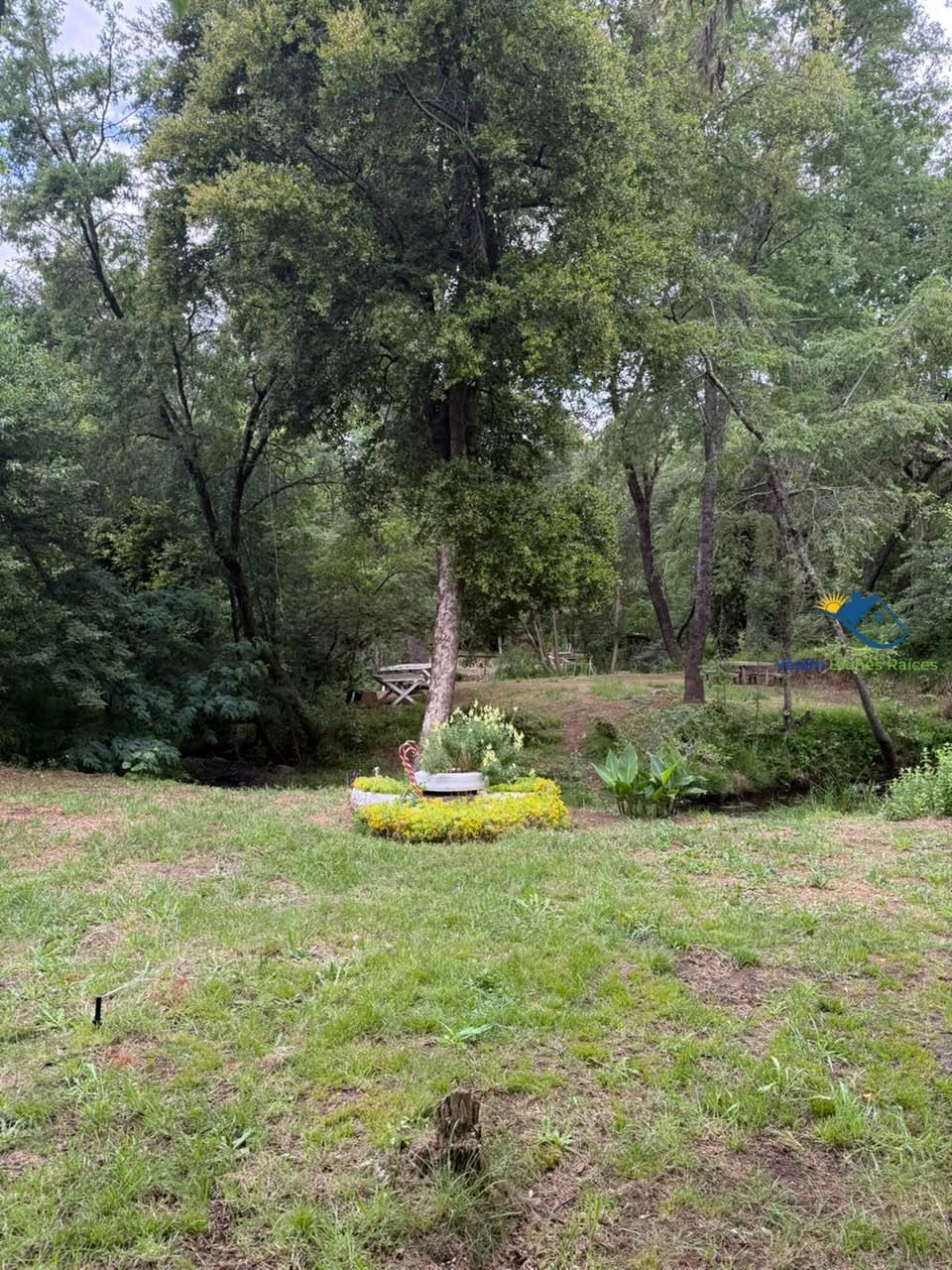 Parcela en venta en Yungay — foto 10