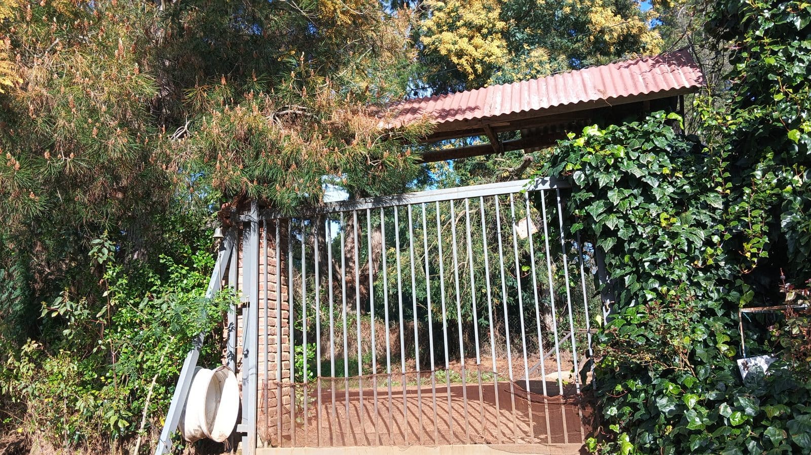 Parcela en venta en San Clemente — foto 1