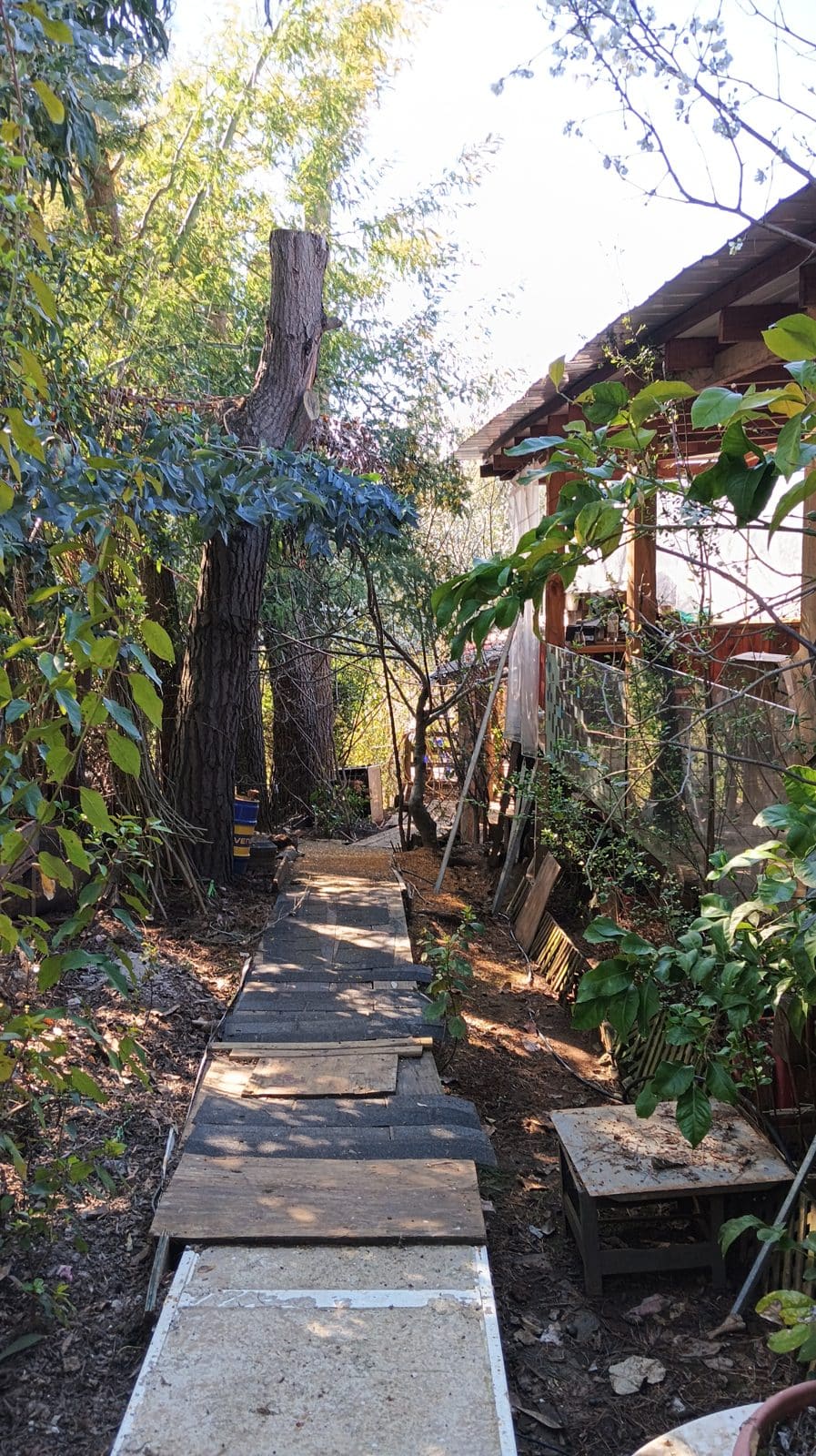 Parcela en venta en San Clemente — foto 3