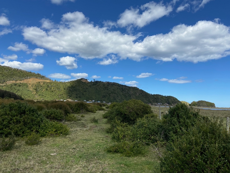 Parcela en venta en Los Muermos — foto 2