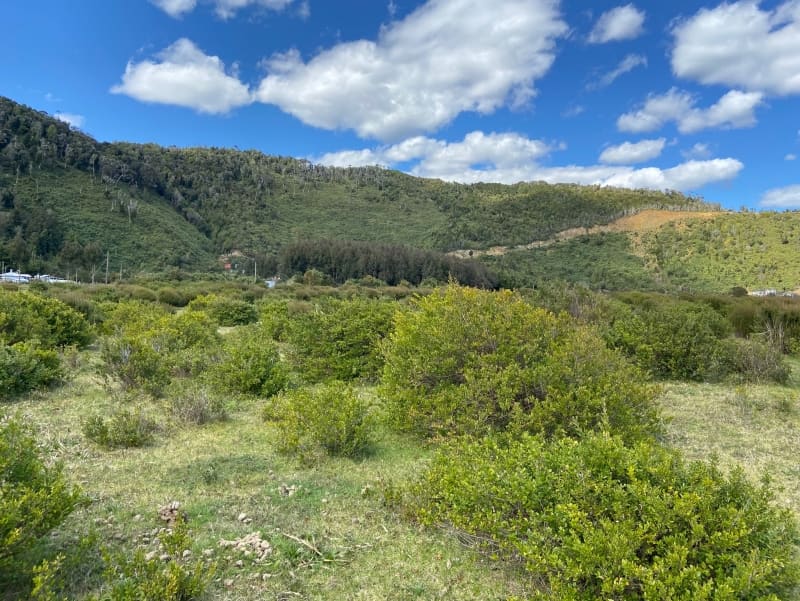 Parcela en venta en Los Muermos — foto 3