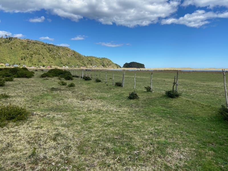 Parcela en venta en Los Muermos — foto 5