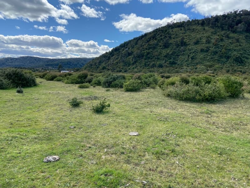 Parcela en venta en Los Muermos — foto 6