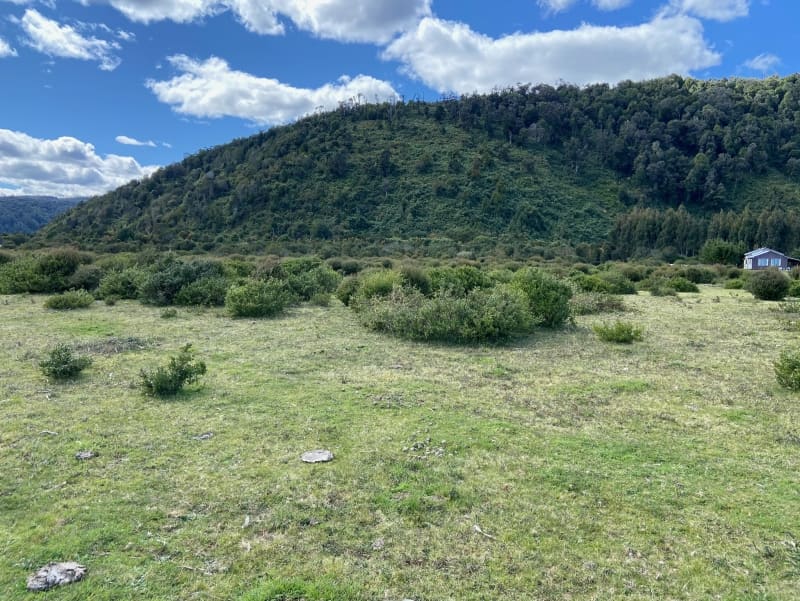 Parcela en venta en Los Muermos — foto 9