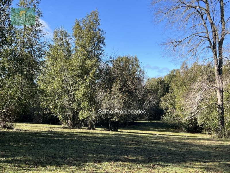 Parcela en venta en Fresia — foto 4