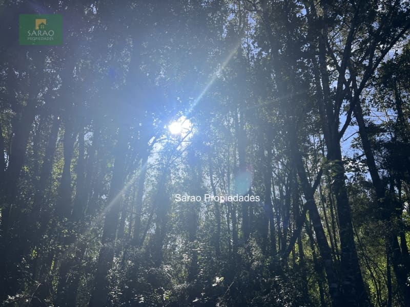 Parcela en venta en Fresia — foto 5
