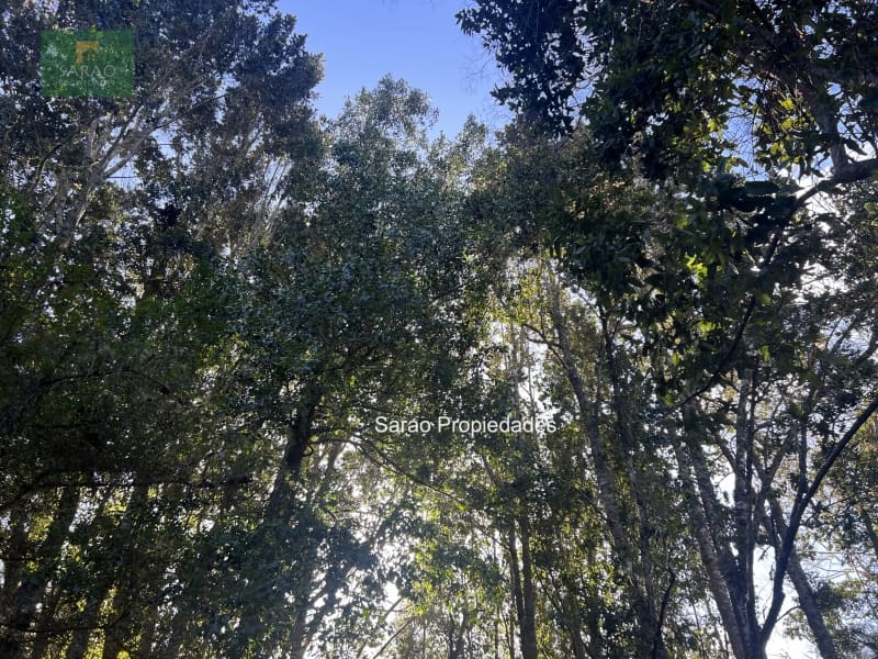 Parcela en venta en Fresia — foto 6