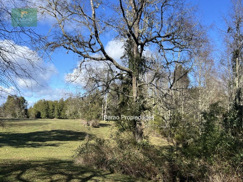 Parcela en venta en Fresia — foto 7