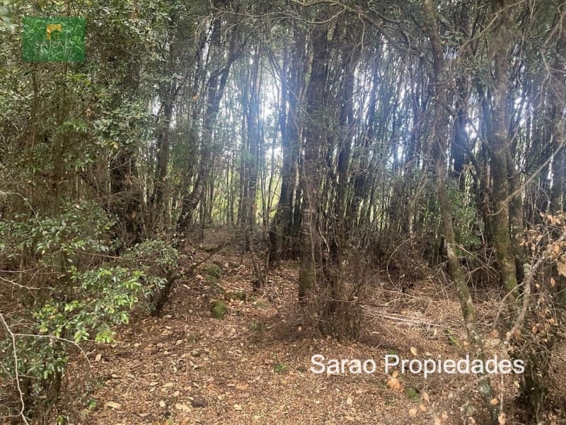 Parcela en venta en Puerto Montt — foto 10