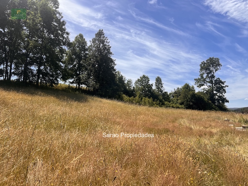 Campo en venta en Fresia — foto 2