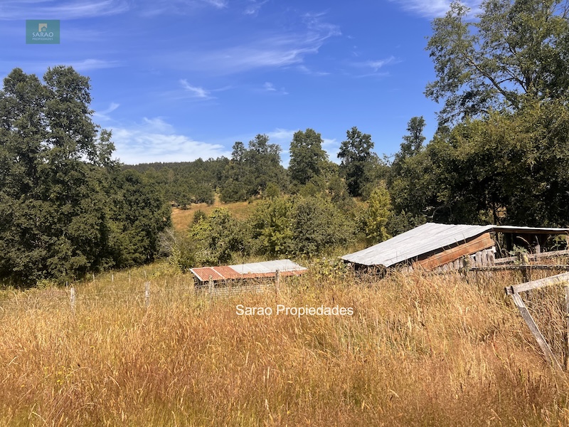 Campo en venta en Fresia — foto 3