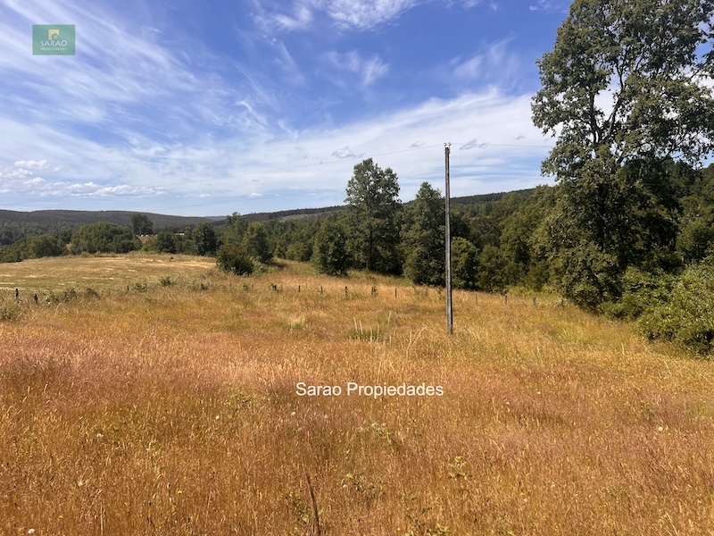 Campo en venta en Fresia — foto 4