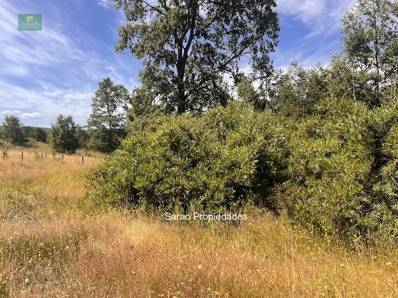 Campo en venta en Fresia — foto 5