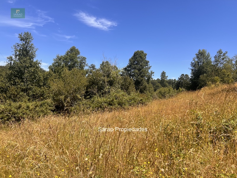 Campo en venta en Fresia — foto 6