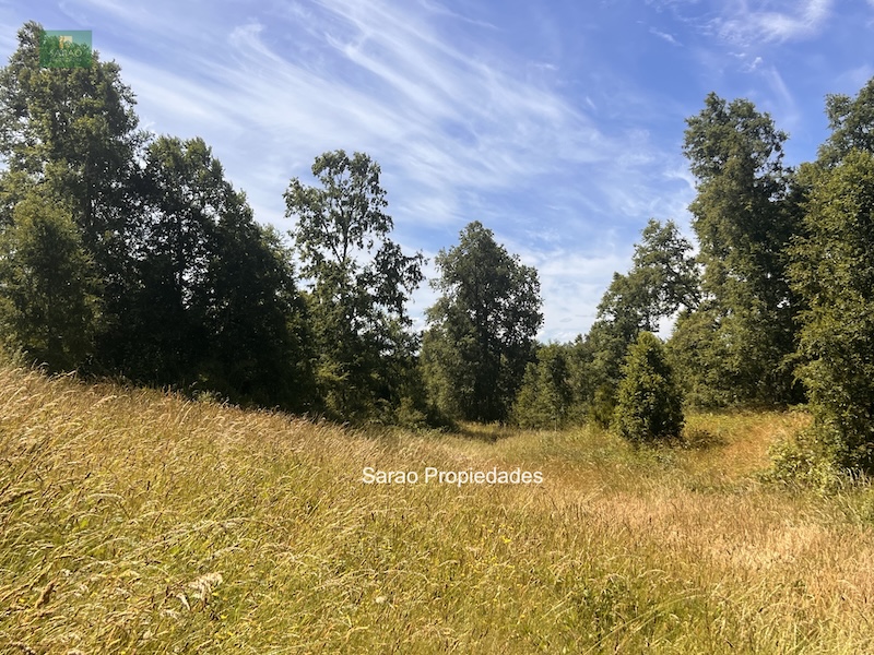 Campo en venta en Fresia — foto 7