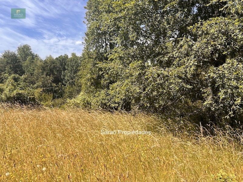 Campo en venta en Fresia — foto 8