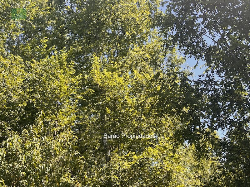 Campo en venta en Fresia — foto 9