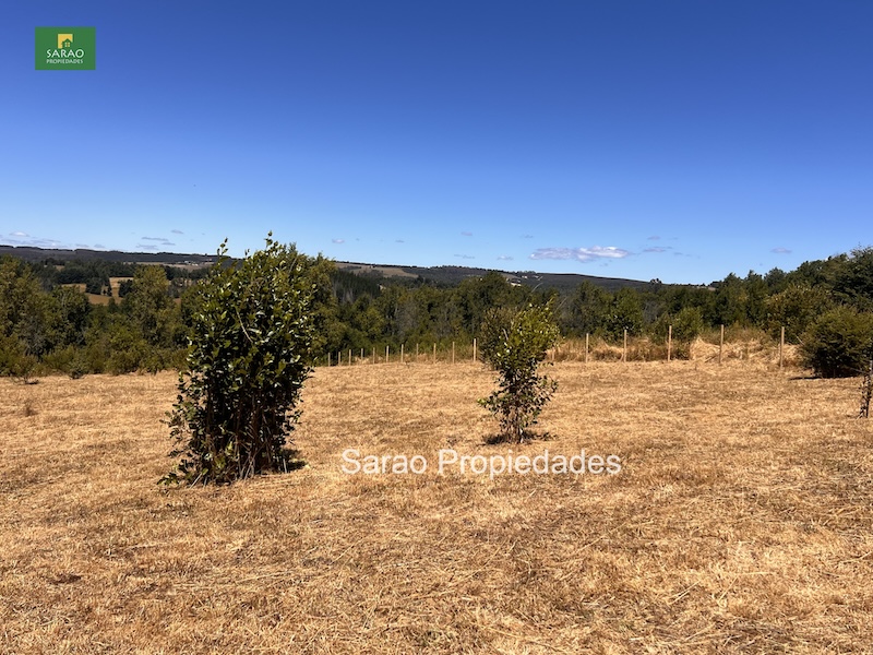 Parcela en venta en Fresia — foto 9