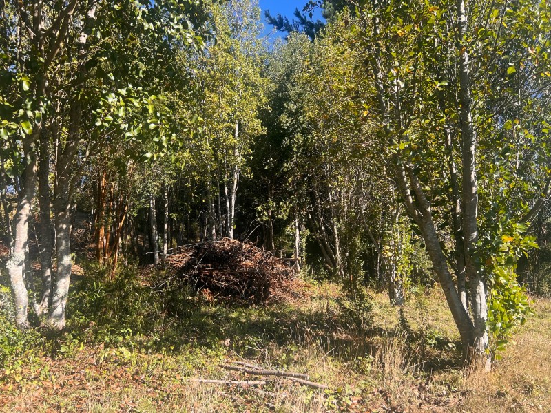 Parcela en venta en Fresia — foto 2