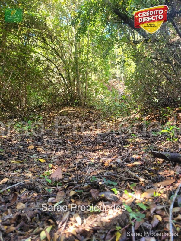 Parcela en venta en Fresia — foto 6