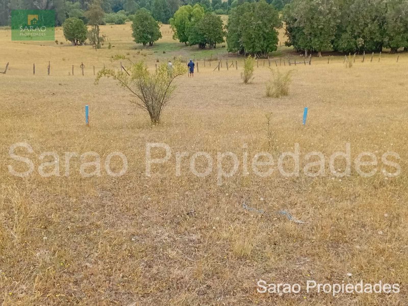 Parcela en venta en Río Negro — foto 5