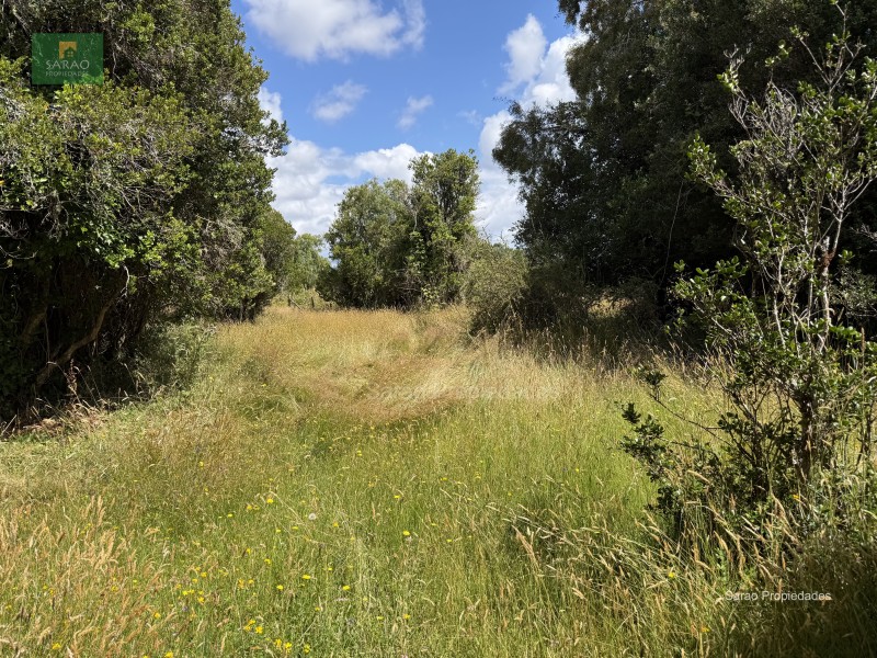 Parcela en venta en Fresia — foto 3