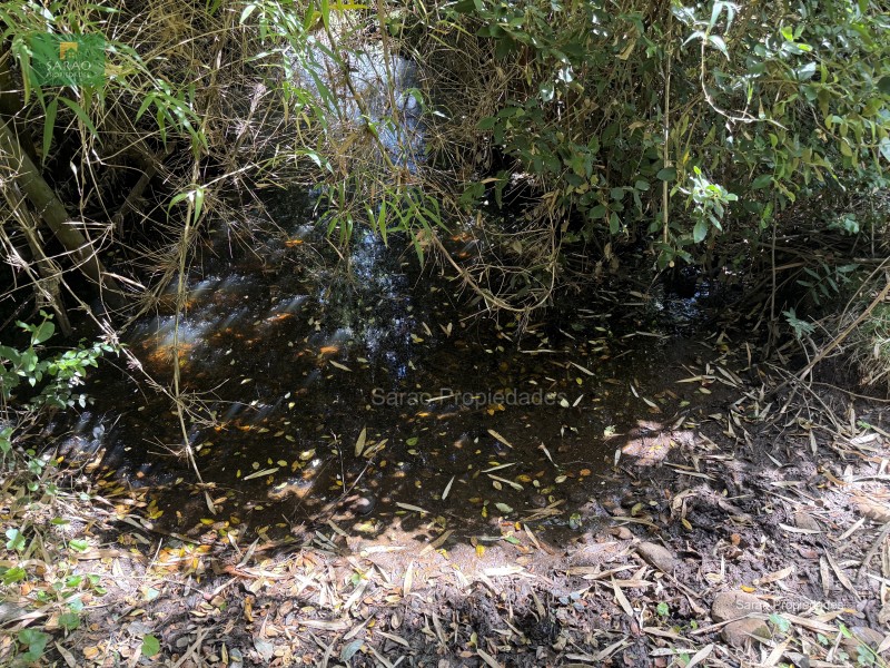 Parcela en venta en Fresia — foto 7
