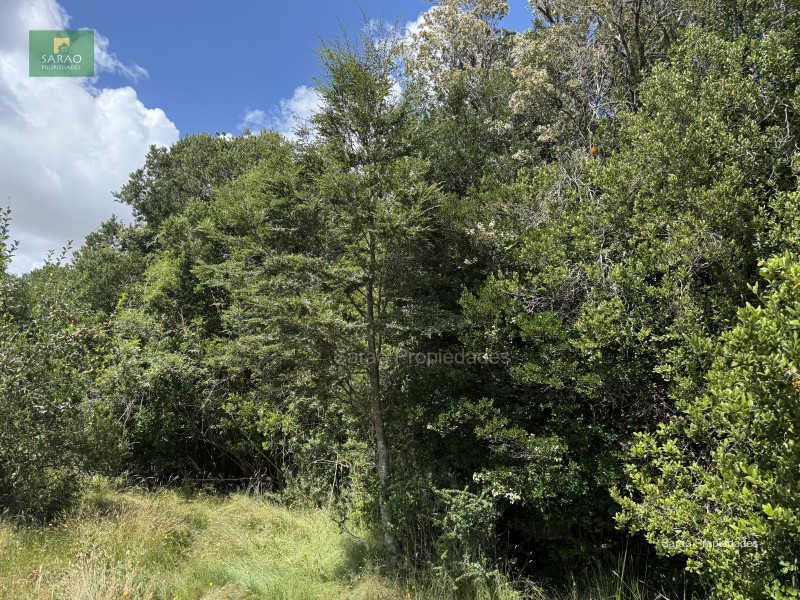 Parcela en venta en Fresia — foto 10