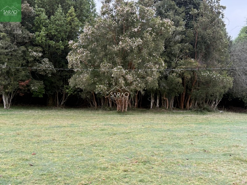 Campo en venta en Los Muermos — foto 3
