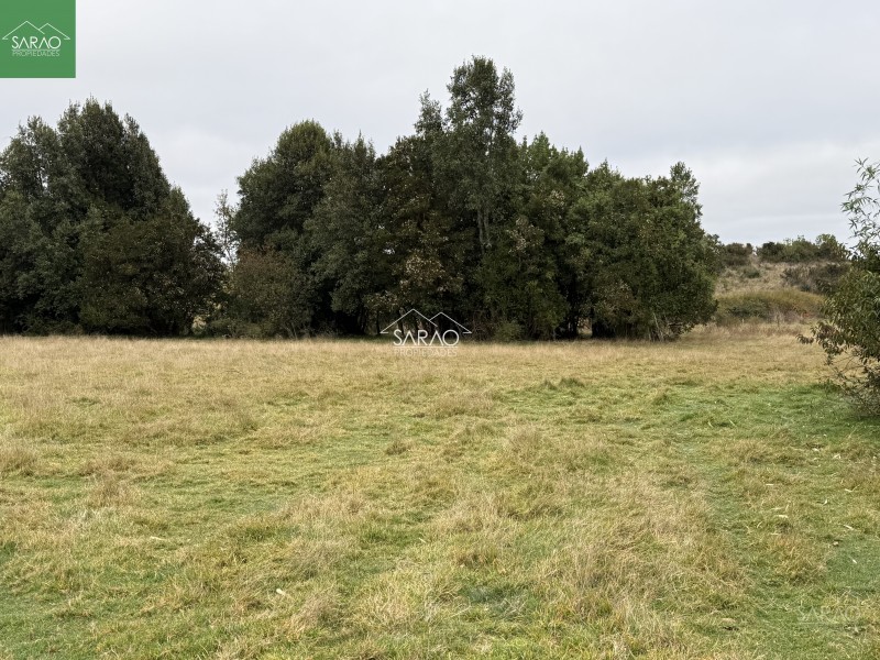 Campo en venta en Los Muermos — foto 4