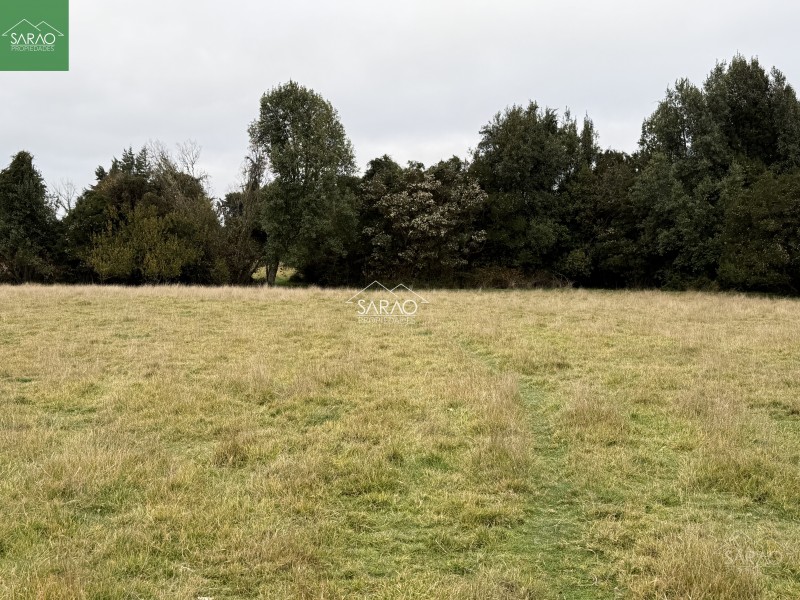 Campo en venta en Los Muermos — foto 5