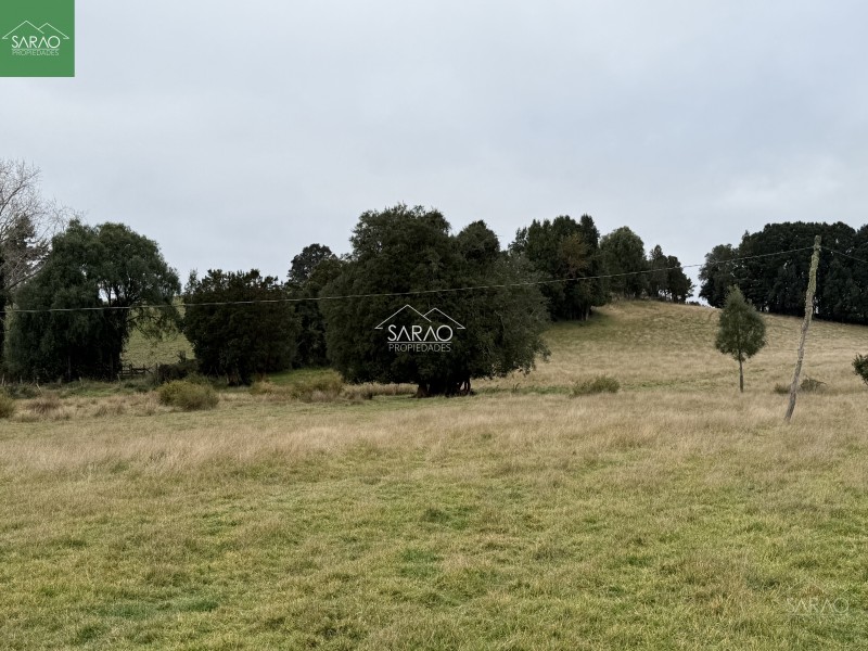Campo en venta en Los Muermos — foto 6