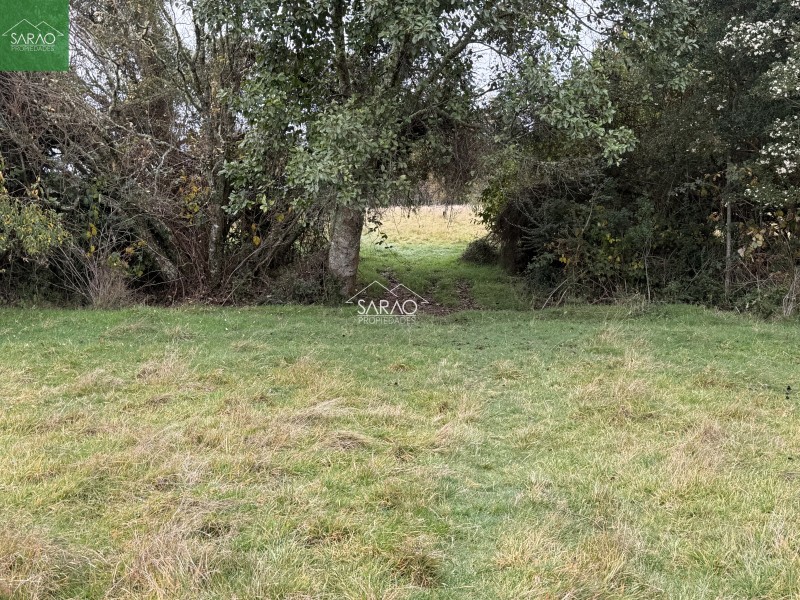 Campo en venta en Los Muermos — foto 8
