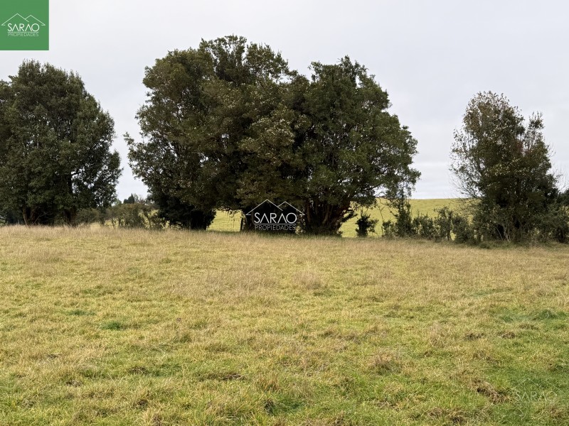 Campo en venta en Los Muermos — foto 9