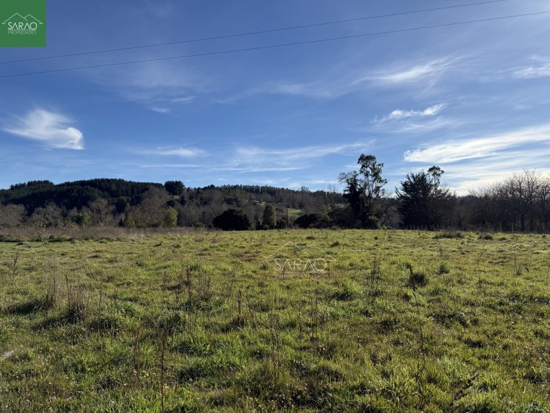Parcela en venta en Fresia — foto 2