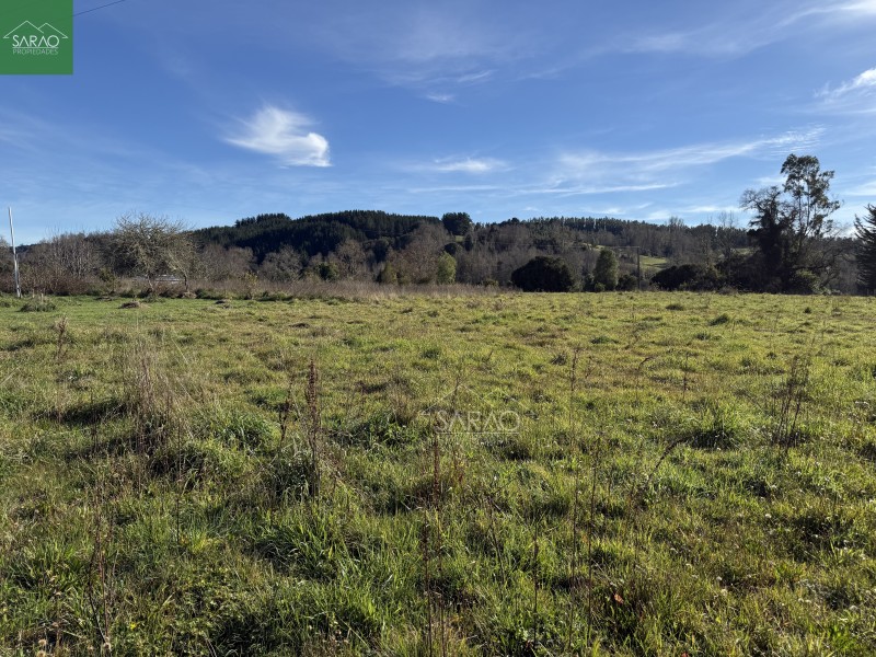 Parcela en venta en Fresia — foto 4